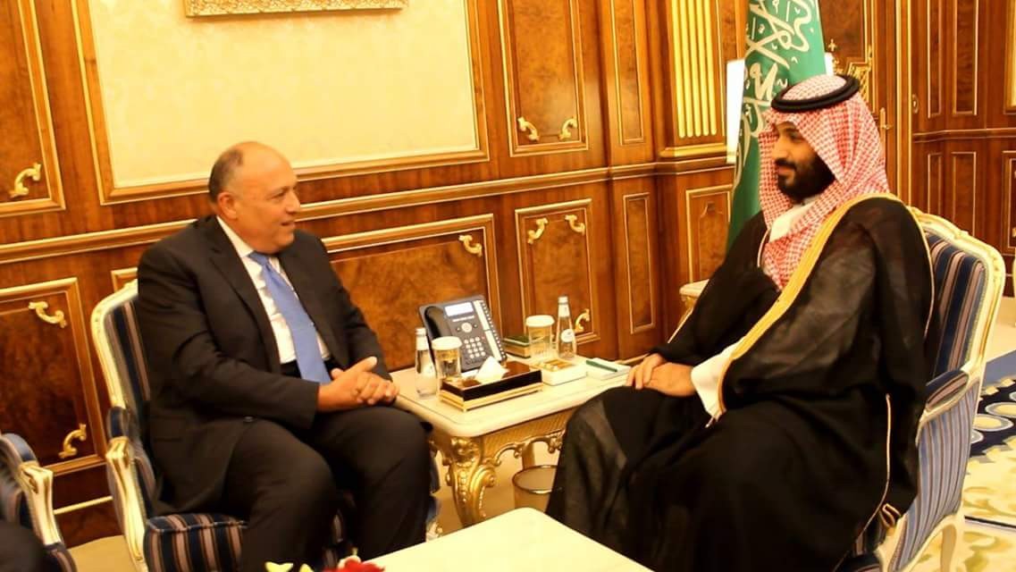 سامح شكرى مع ولي العهد محمد بن سلمان