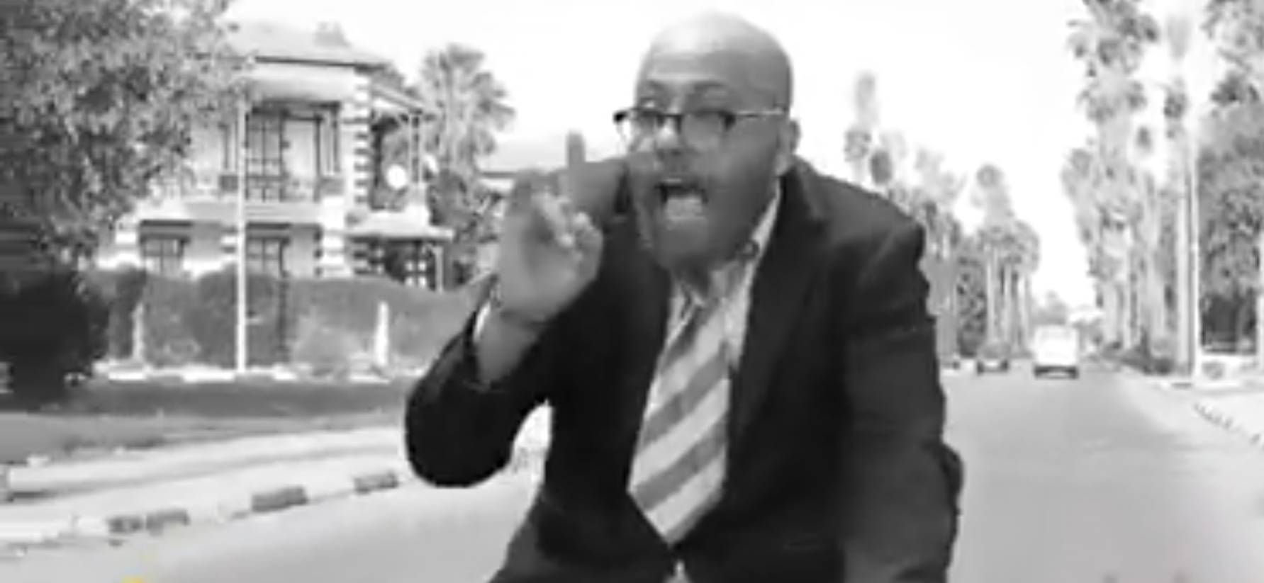 الفنان حسن بلبل