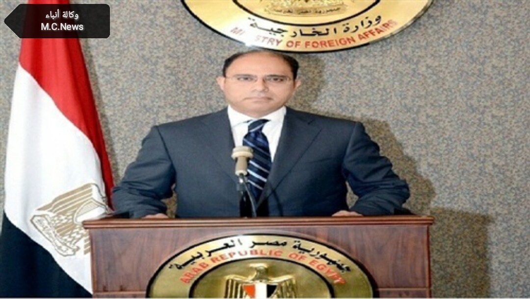 المستشار أحمد أبو زيد (أرشيفية)