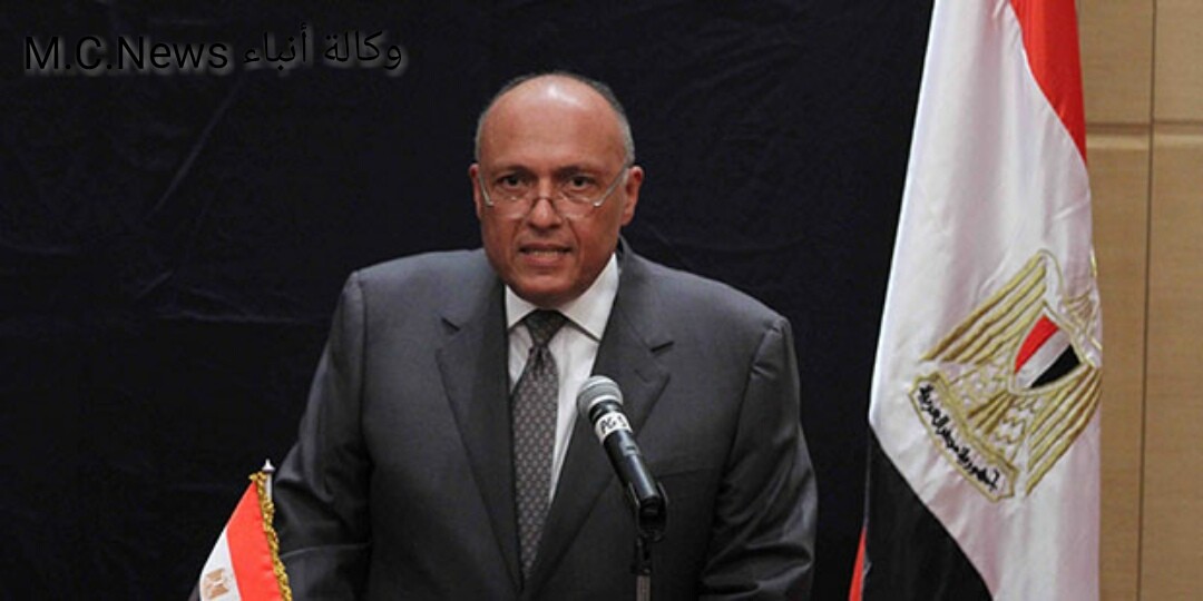وزير الخارجية سامح شكرى (أرشيفية)