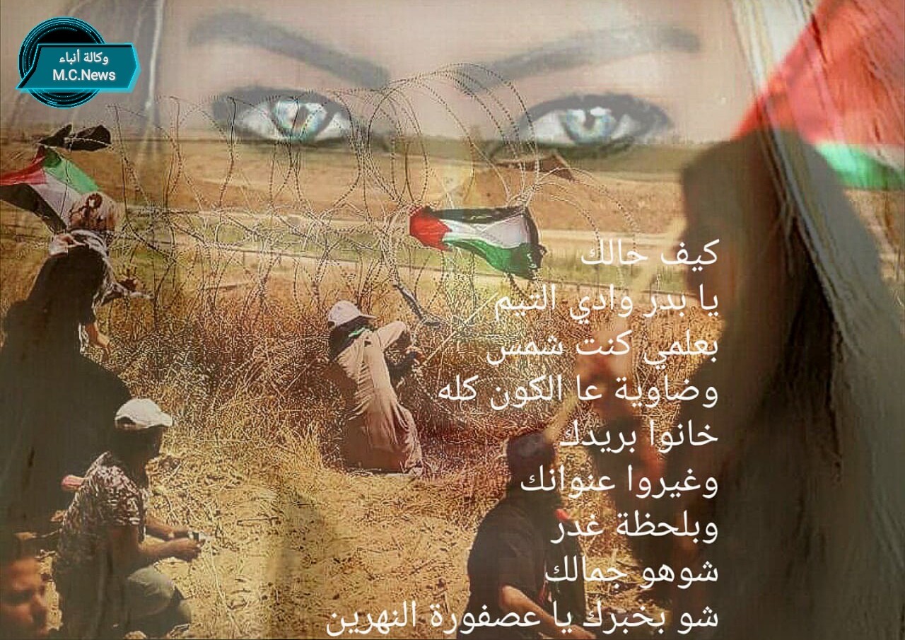 الكاتبة زيزى ضاهر