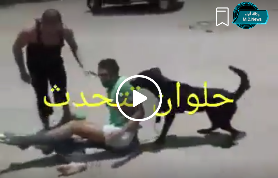 لحظة الإعتداء من البلطجية على الشاب بالكلاب بحلوان