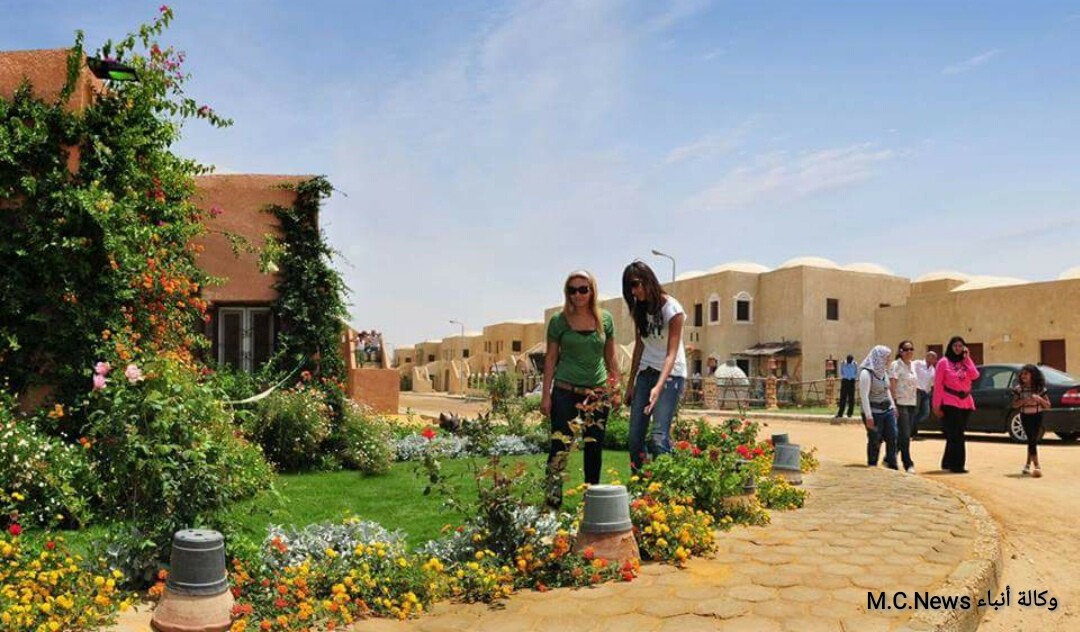 فريق إنقاذ هرم ستي