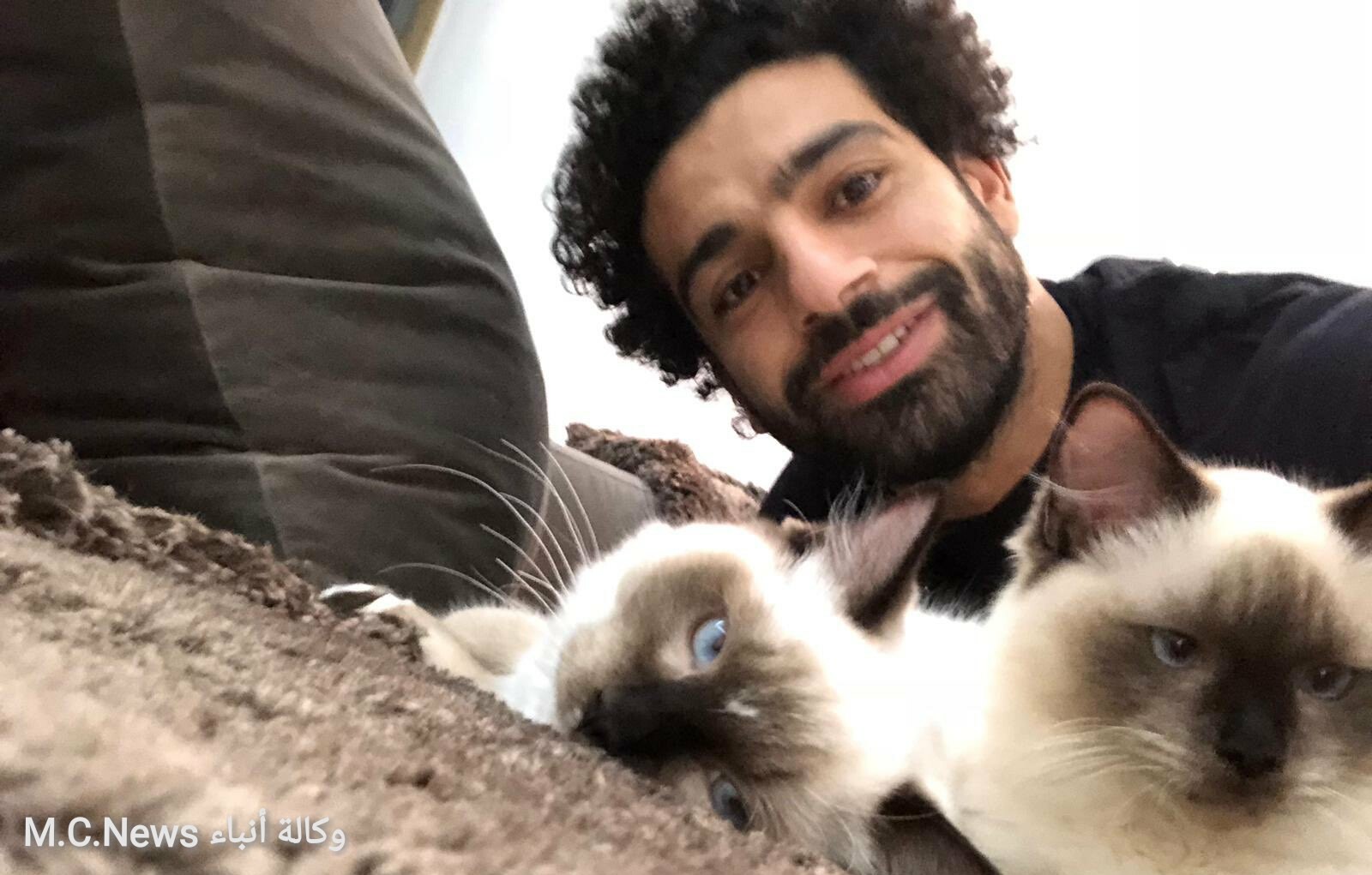 الكابتن محمد صلاح مع القطط الخاصة به