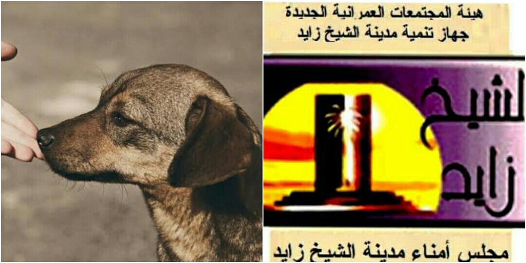شعار مجلس أمناء مدينة الشيخ زايد وكلب مُسالم