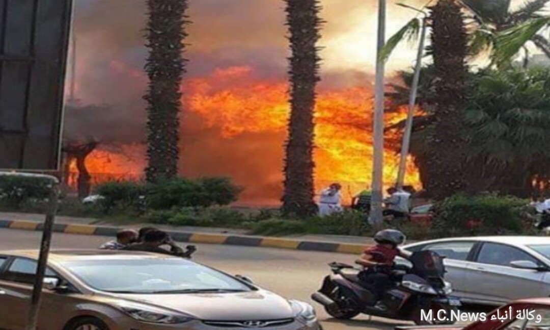 لحظة اشتعال النيران بحديقة تابعة لوزارة الزراعة بشارع الهرم