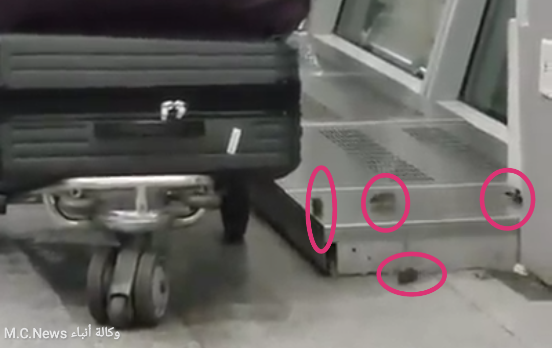 mice inside JFK airport