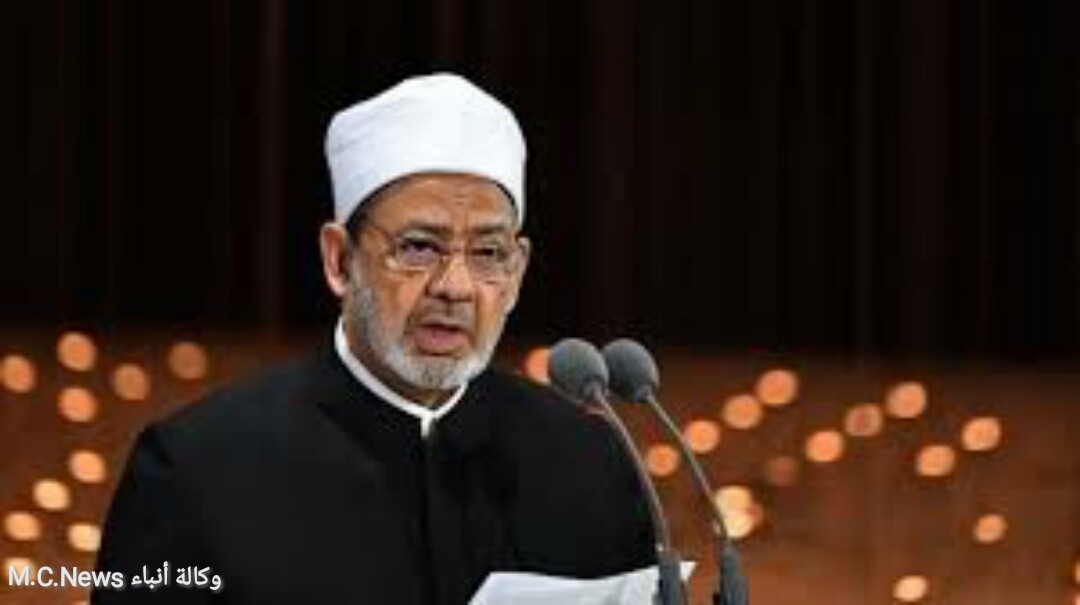 فضيلة الإمام الشيخ أحمد الطيب (أرشيفية)