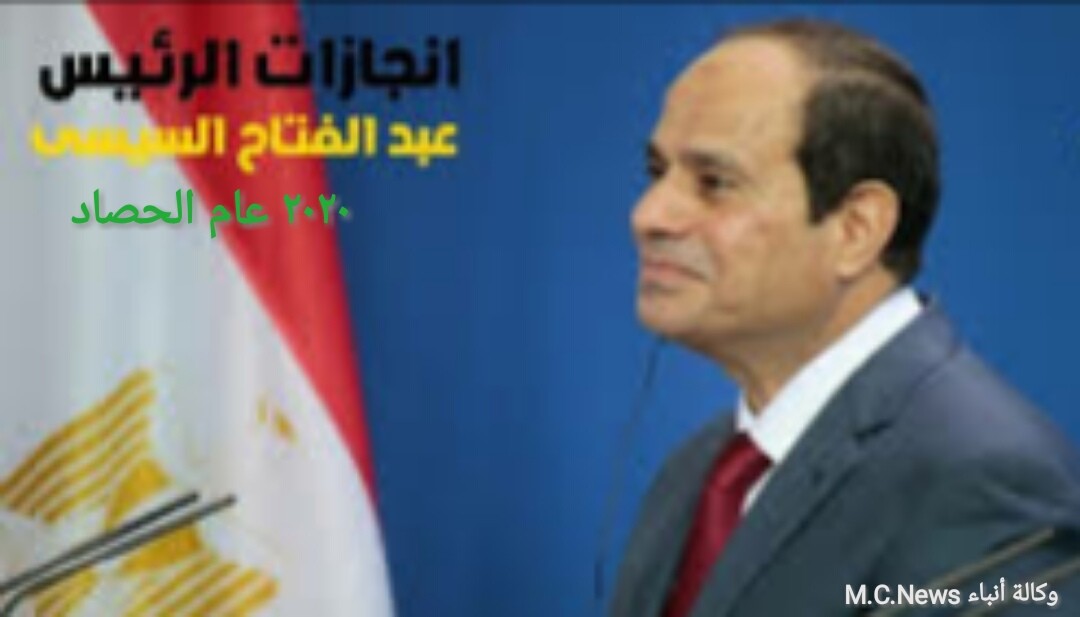 الرئيس السيسي قائد التنمية (تعبيرية)