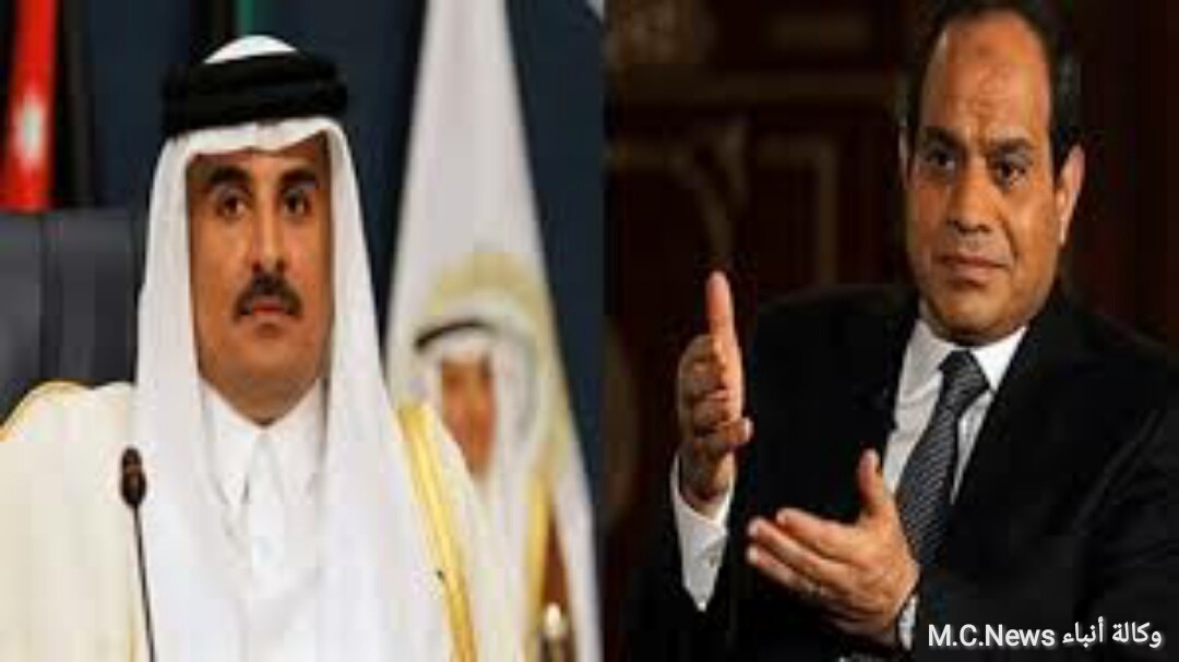 الرئيس السيسي وتيميم (تعبيرية)