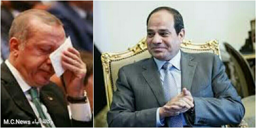 الرئيس السيسي واردوغان (تعبيريه)