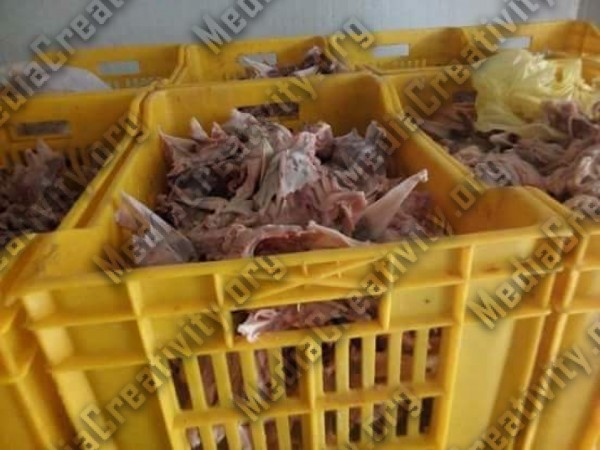 مؤسسة الإبداع الإعلامي وتنمية المجتمع