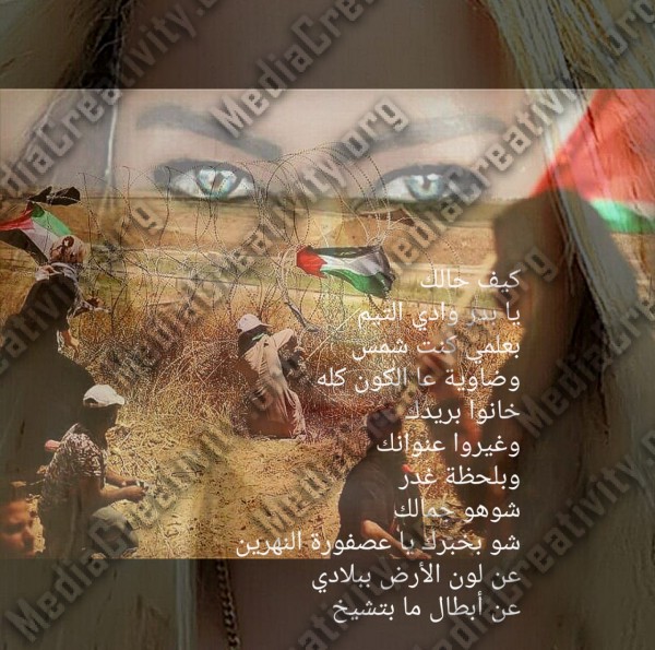 مؤسسة الإبداع الإعلامي وتنمية المجتمع