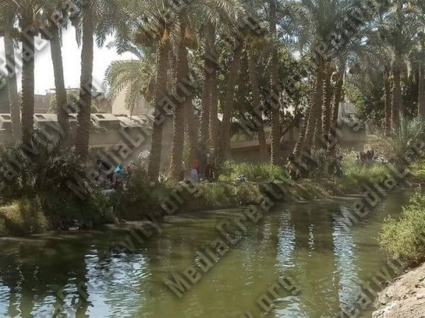 وكالة أنباء m.c.news