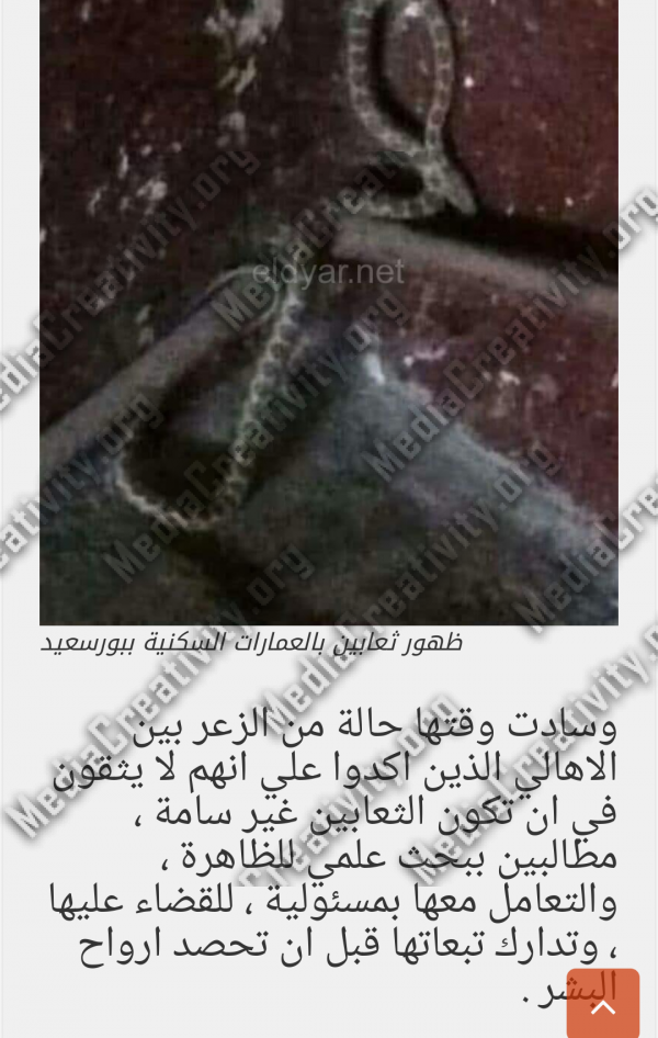 مؤسسة الإبداع الإعلامي
