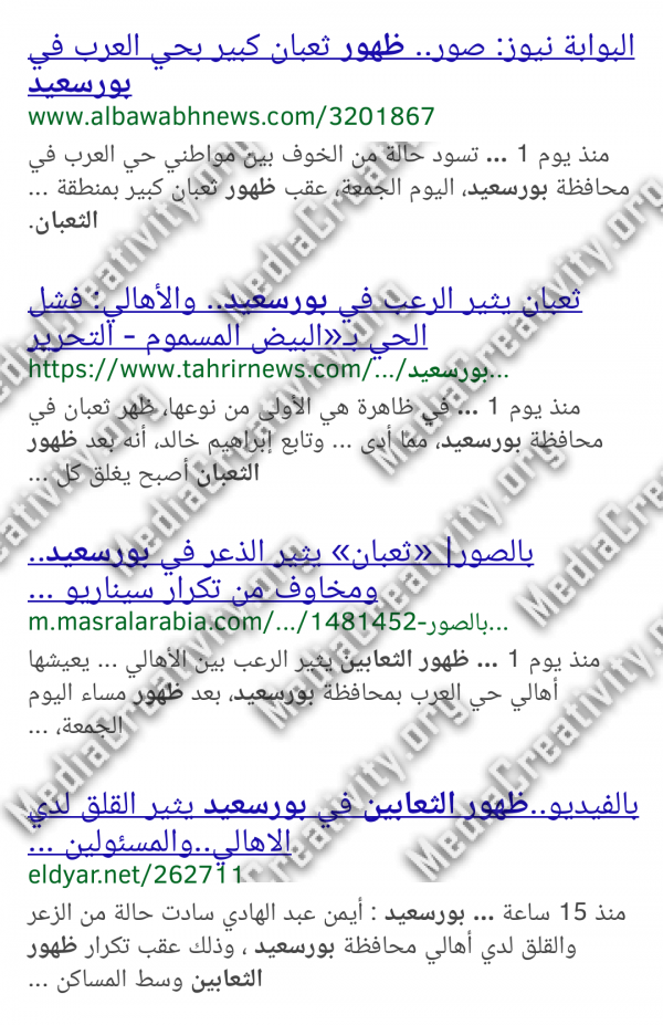 مؤسسة الإبداع الإعلامي