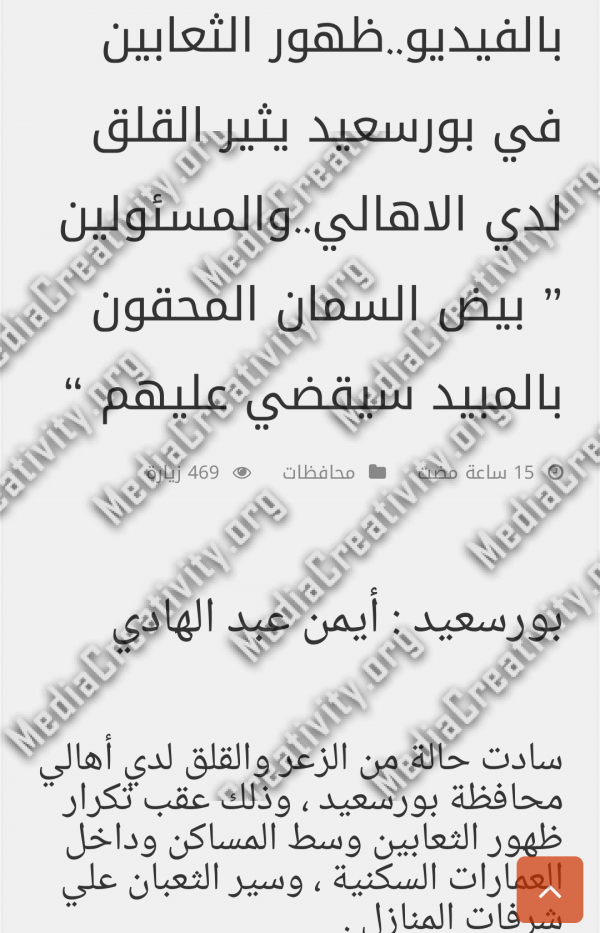مؤسسة الإبداع الإعلامي
