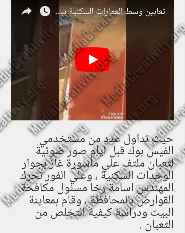 مؤسسة الإبداع الإعلامي