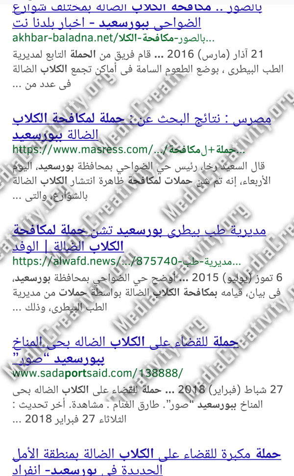 مؤسسة الإبداع الإعلامي