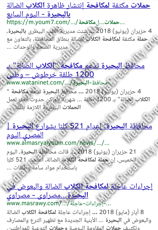 مؤسسة الإبداع الإعلامي