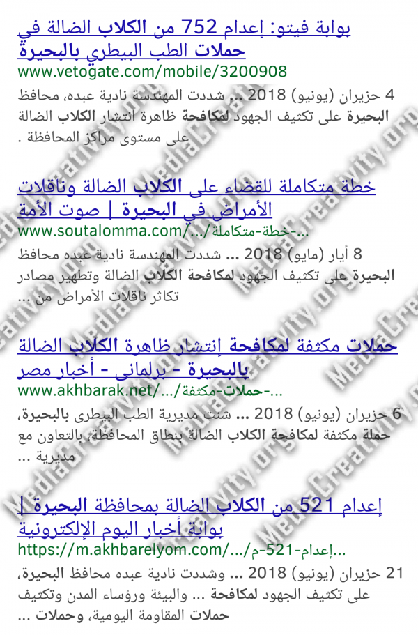مؤسسة الإبداع الإعلامي
