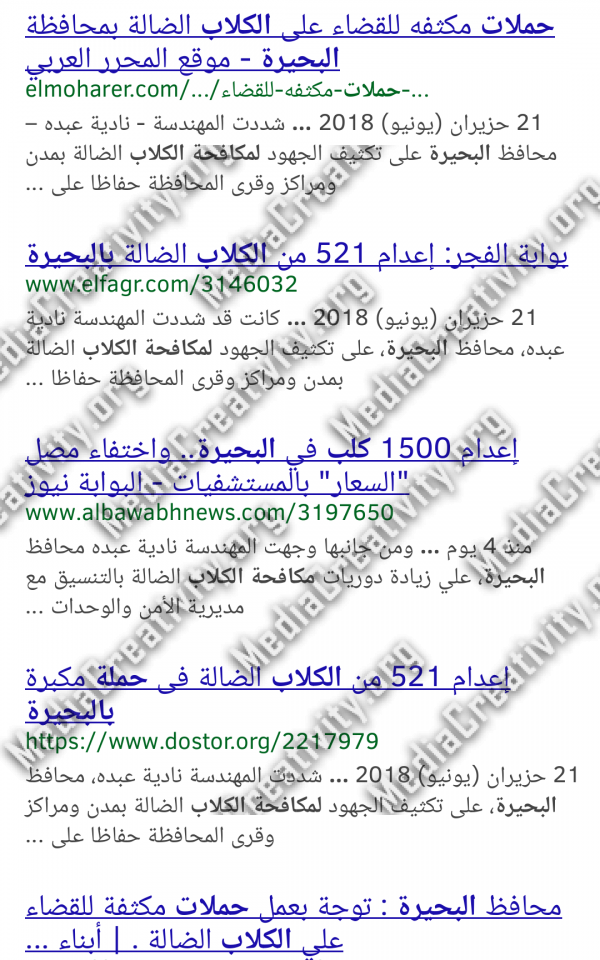 مؤسسة الإبداع الإعلامي