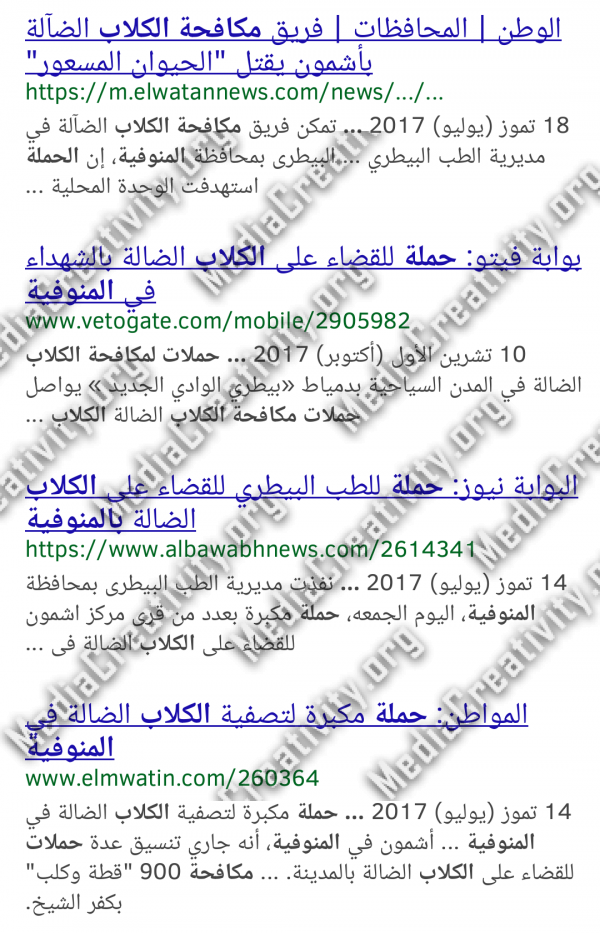 مؤسسة الإبداع الإعلامي