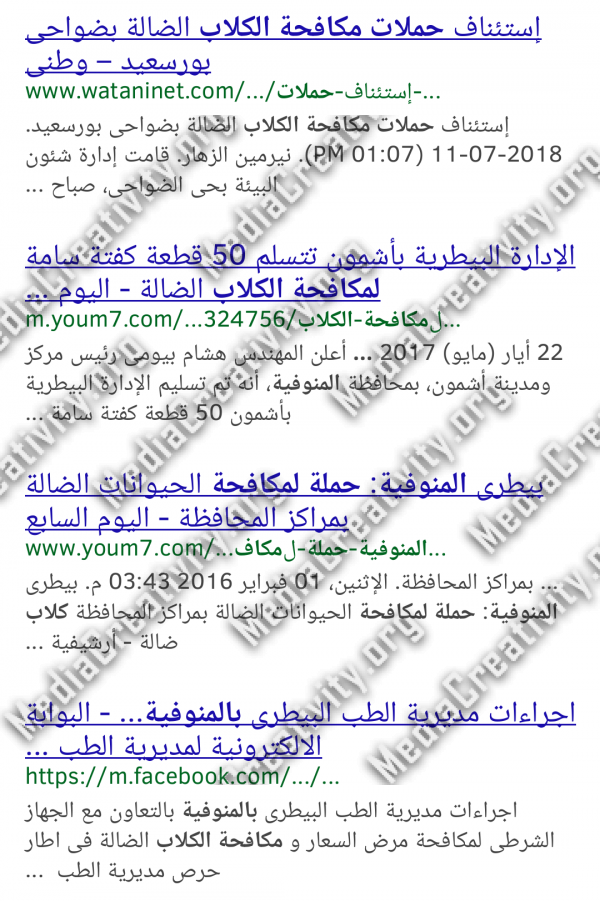 مؤسسة الإبداع الإعلامي