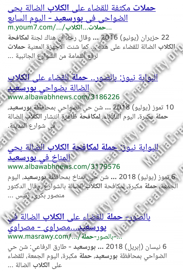 مؤسسة الإبداع الإعلامي