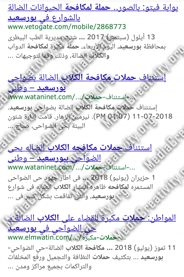 مؤسسة الإبداع الإعلامي العربي