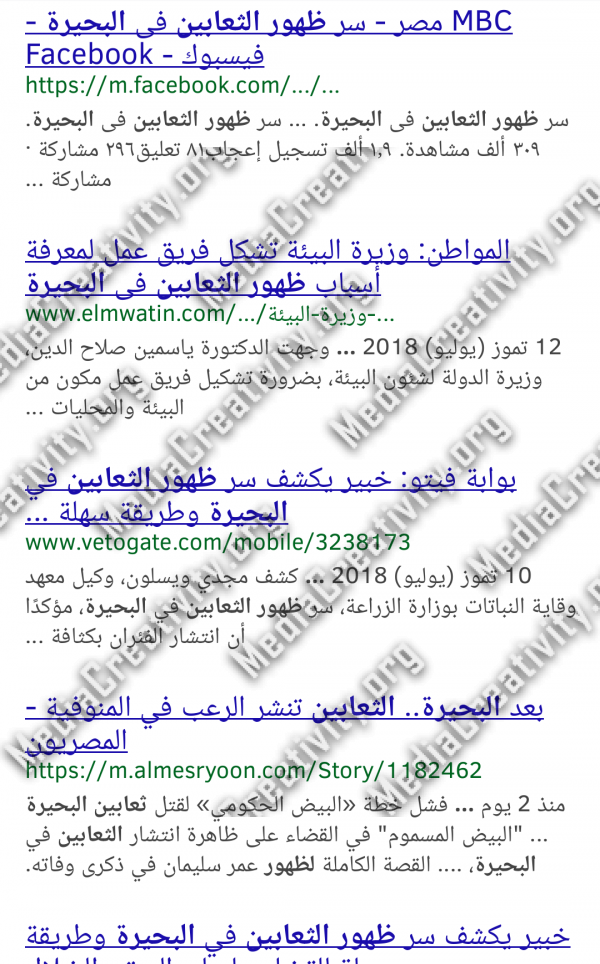 مؤسسة الإبداع الإعلامي