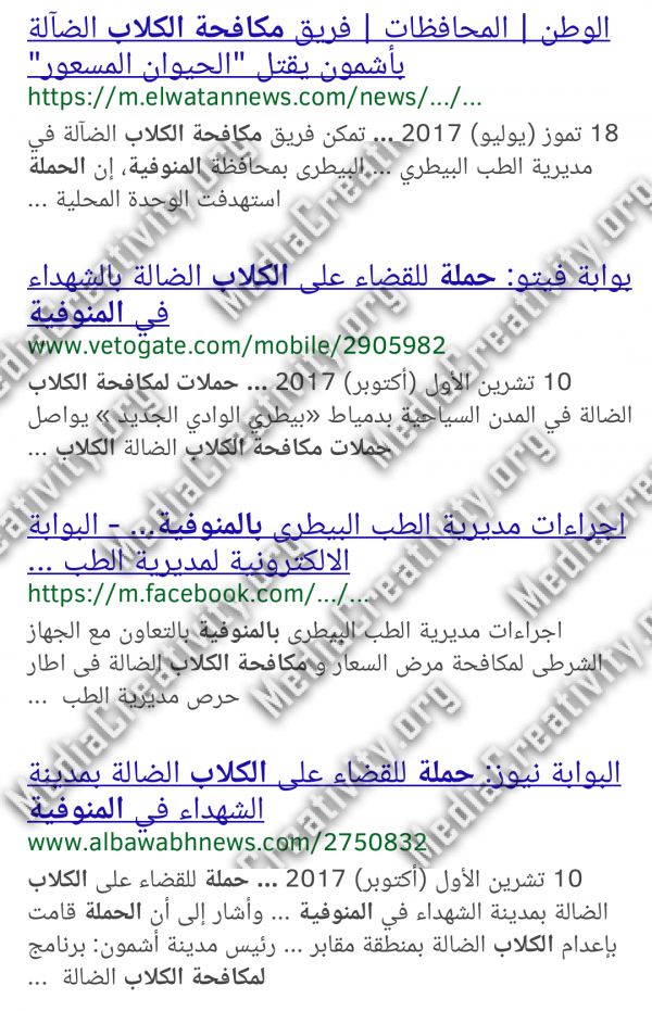 مؤسسة الإبداع الإعلامي
