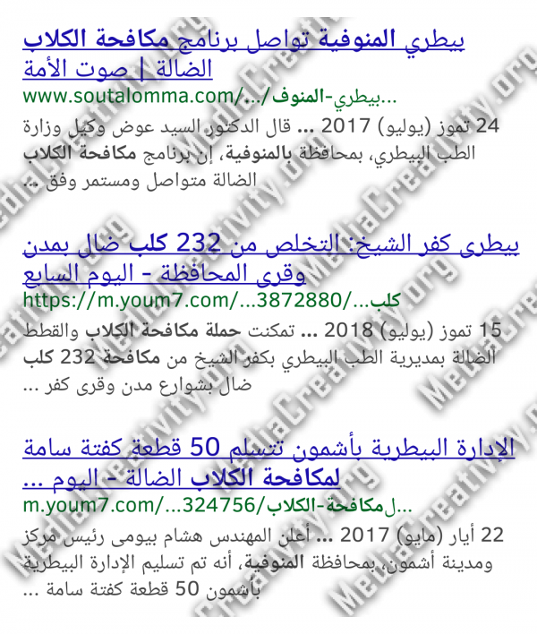 مؤسسة الإبداع الإعلامي