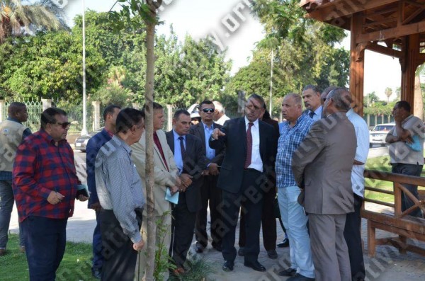 مؤسسة الإبداع الإعلامي وتنمية المجتمع