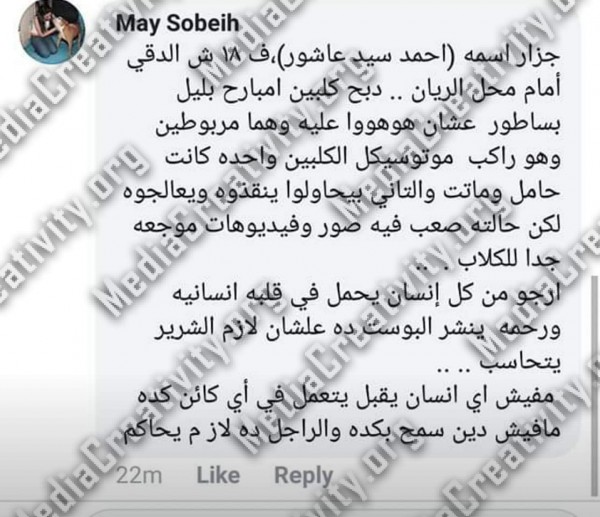 الرفق بالحيوان