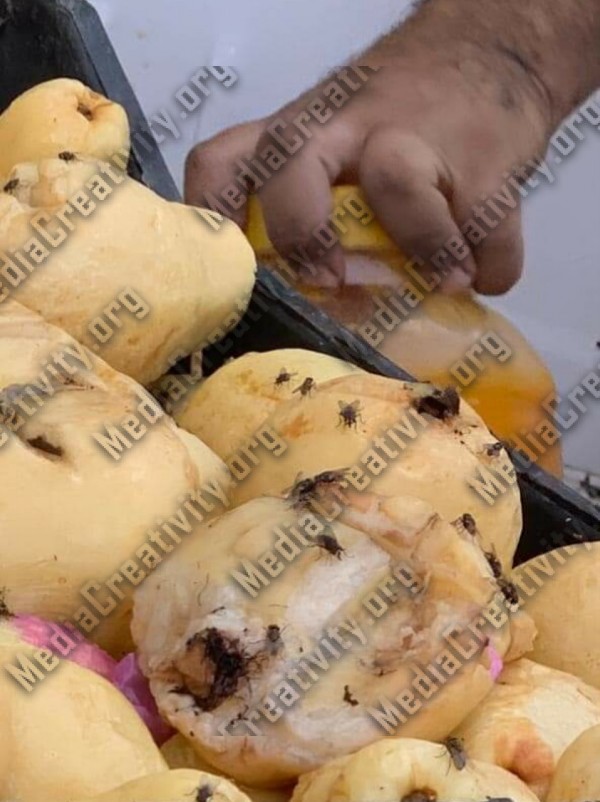 مباحث التموين