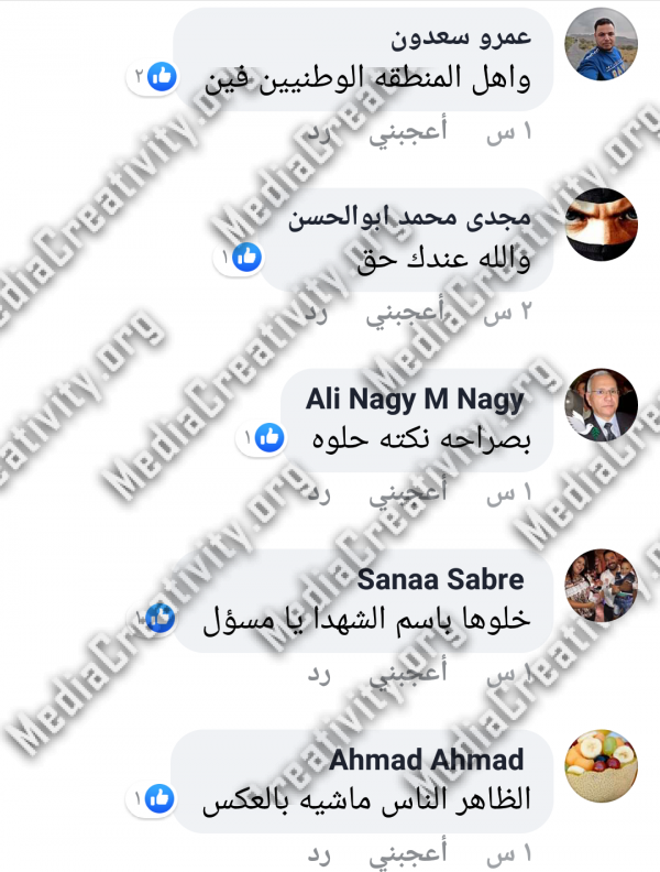 البرادعي