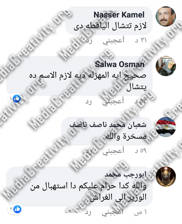 البرادعي