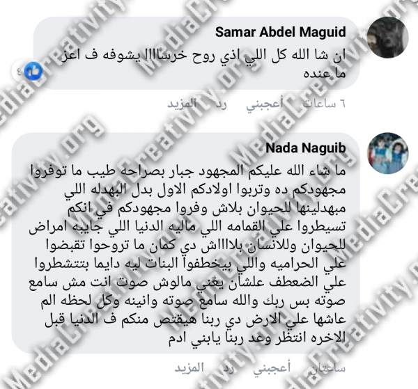 كلاب ضالة