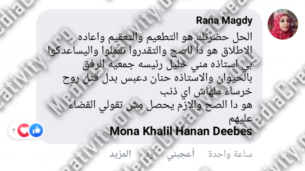 الرفق بالحيوان
