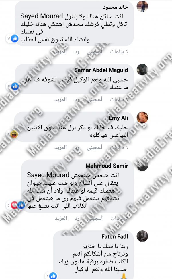 كلاب ضالة