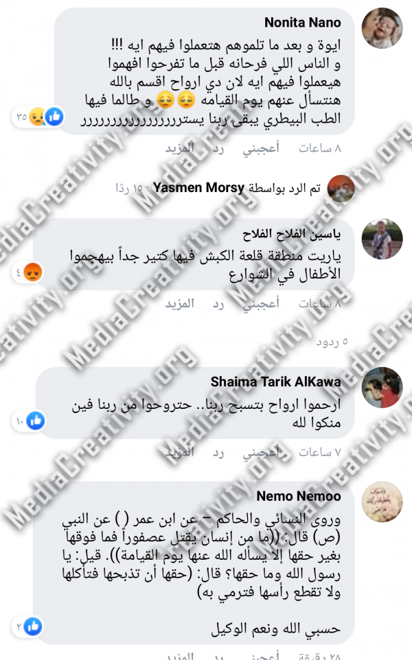 حي السيدة زينب يجهز لمذبحة ضد الكلاب