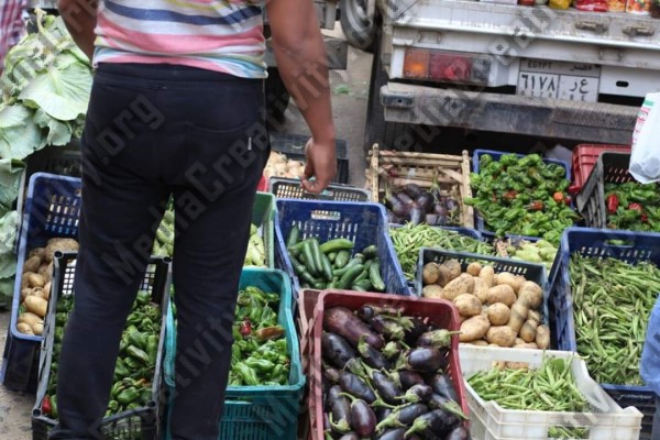منافذ وزارة الزراعة